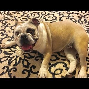 Meet your Posher, Val